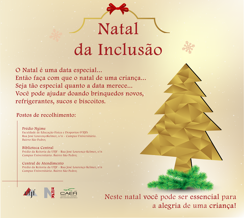 Arte-natal-da-inclusão 2