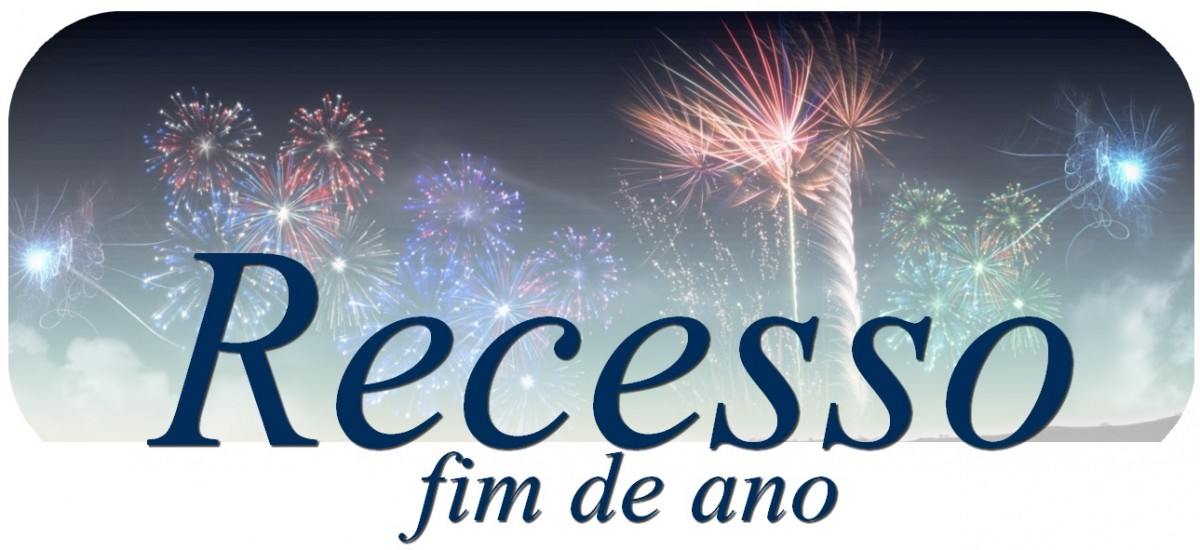 Leia mais sobre o artigo Recesso de final de ano